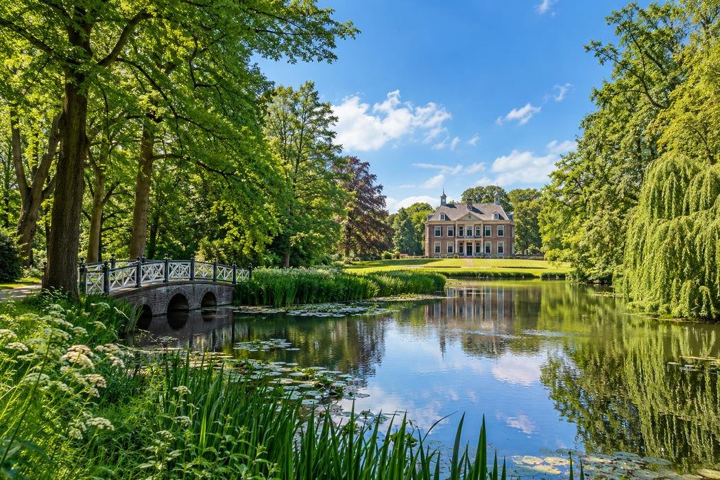 Illustratie van het Rijswijkse Bos